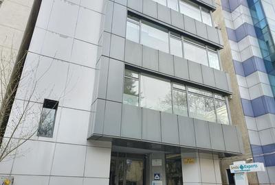 Birou, 133 mp în Primăverii
