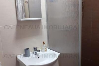 Inchiriere 2case -4 camere Bucurestii Noi - 18