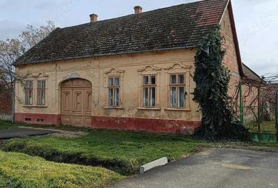 Casă cu 4 camere în Lovrin