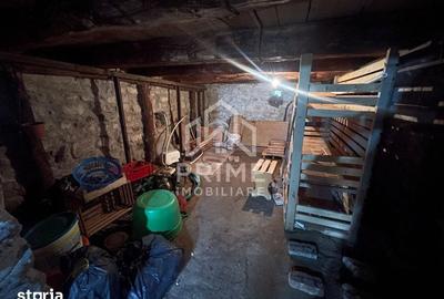 Casă cu 3 camere cu Teren 4400 Mp în Pianu - 12