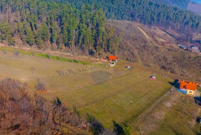 Teren 5,155 mp Codlea / Strada Mihai Eminescu/ Posibilita... - 6