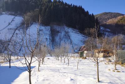 Teren intravilan cu 2 case traditionale in Sibiu Rau Sadului - 2