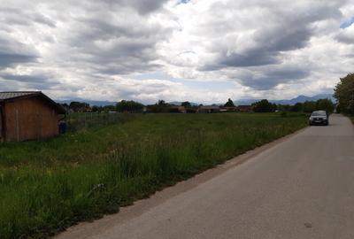 Teren intravilan 5000 mp construibil zona rezidentiala - 3