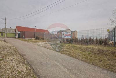 Casă cu Canalizare în Crizbav - 12