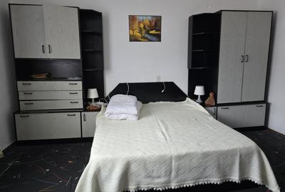 Casa spatioasa cu livada si vedere spre padure - Filipestii de Padure, Prahova Casa spatioasa cu livada si vedere spre padure - Filipestii de Padure, Prahova - 19