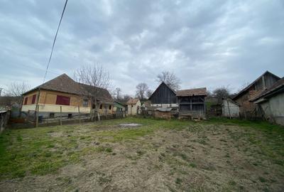 Casă cu 3 camere în Adămuș - 6
