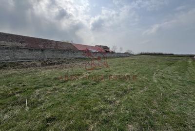 Teren Construcții intravilan de 2450 mp, în Bucovăț (Remetea Mare) - 3