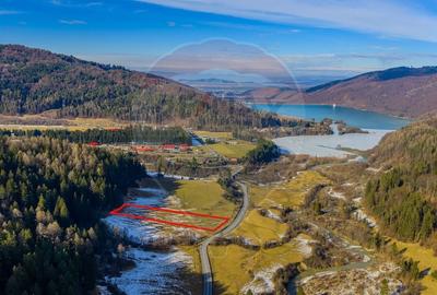 Teren intravilan de 10000 mp, în Brădet - 7