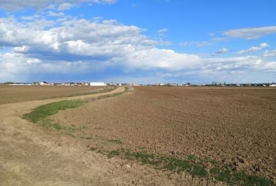 Teren de 16750 mp, în Tunari - 7