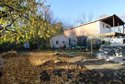 Casa in zona Lipovei,  ideala pentru activitati comerciale. - 41