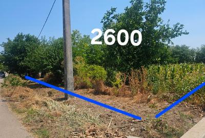 Teren Construcții intravilan de 2600 mp, în Drăgoești - 3