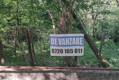 Teren de 917 mp, în Cornu - 5