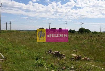 Teren Construcții intravilan de 3820 mp, în 1 Decembrie - 2
