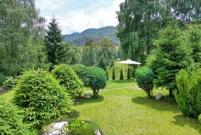 Casa / Vila  de vacanta ideala in satul Drumul Carului, zona Moieciu - 7