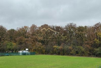 Teren Construcții intravilan de 644 mp, în Balotești - 5