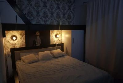 Apartament de vanzarecu 2 plus mansarda - 9