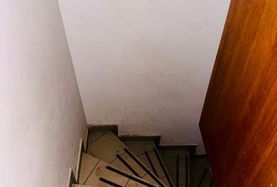 Armeneasca - Bd. Carol I stradal spatiu comercial 54 mp utili - 11