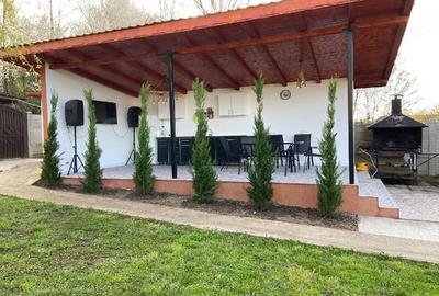 Casă cu Teren 1750 Mp în Fărcășești - 2