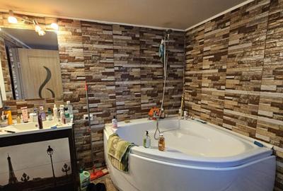 Casa curte- Metrou Pieptanari - 3