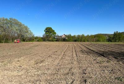 Se vinde casa batraneasca cu teren! Se vinde casa batraneasca cu teren! - 1