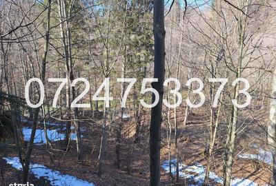 Casă cu 2 camere în Chiciureni - 2