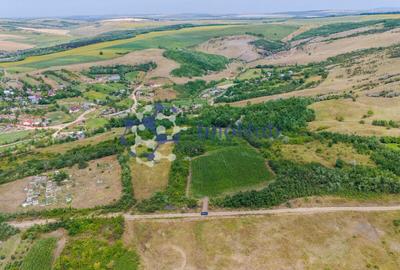 Teren Construcții intravilan de 10000 mp, în Rediu Aldei - 5
