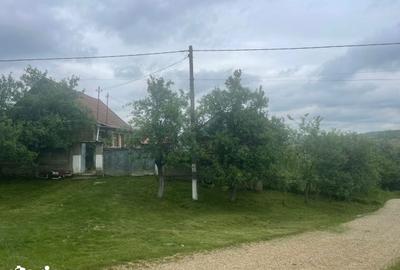 Casă cu 3 camere cu Teren 2472 Mp în Tămășeu - 4