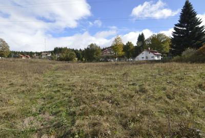 VANZARE TEREN INTRAVILAN SINAIA-CUMPATU Strada Zamora-9.801 mp-Comision 0% - 34