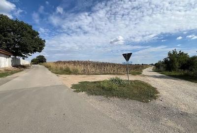 Terenuri pentru constructie rezidentiala Moara Vlasiei, 10 min de Bucuresti - 2