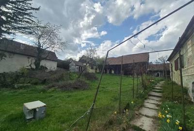 Casă cu 3 camere cu Teren 4000 Mp în Vurpăr - 5