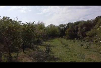 Casă cu 4 camere în Corbii Mari - 5