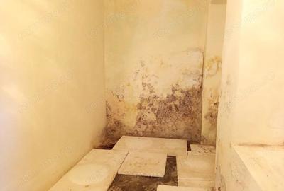 Oravita, Spatiu Comercial, Pret Negociabil - 10