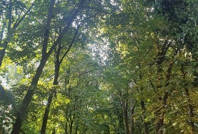 GORJULUI - Metrou vanzare apartament 2 camere - 14