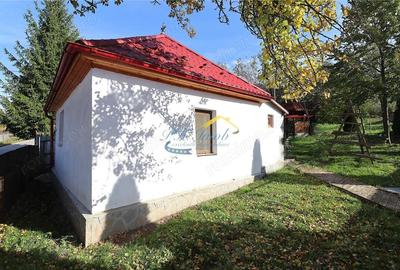 Casă cu Teren 267 Mp în Valea Doftanei - 8