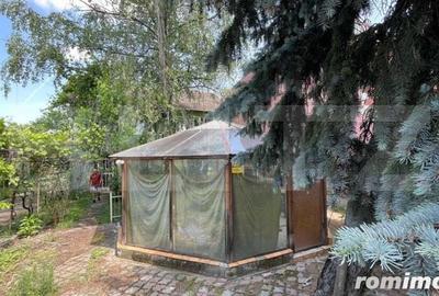 Casă cu 6 camere cu Teren 854 Mp în Elisabetin - 2