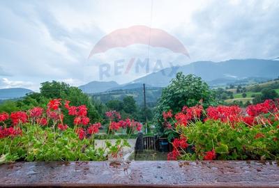 Casă cu 9 camere cu Teren 888 Mp în Sohodol - 9