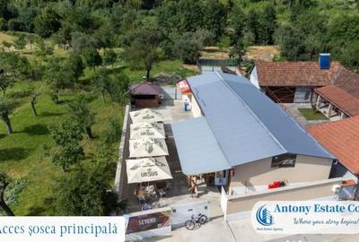 Spațiu comercial, de 195 mp, în Budureasa - 7