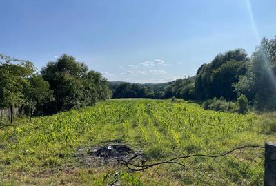 Casă cu 3 camere în Central - 5