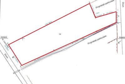 Teren intravilan in Sanduleni/Bacau de vanzare - 16