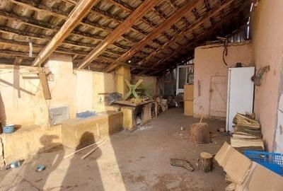 Gelu – Casa 4 Camere – Teren 6700 mp Gelu – Casa 4 Camere – Teren 6700 mp - 13