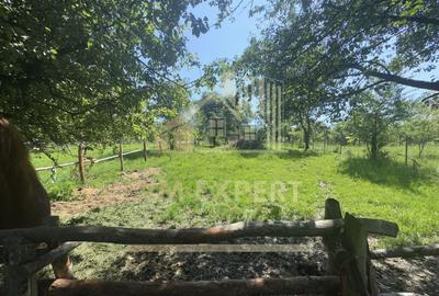 VILA 5 CAMERE, TEREN 4520 MP, LERESTI, ARGES - 21