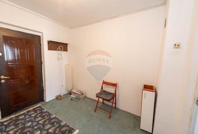 Apartament decomandat cu 2 camere de vanzare in zona Titan Salajan - 11