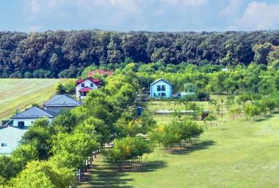 Teren în Afumați - 2