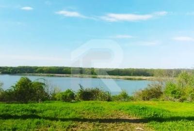 Teren Construcții intravilan de 10000 mp, în Grădiștea - 16