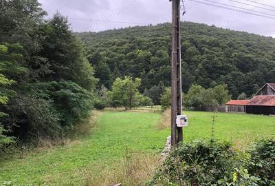 Teren de 4000 mp, în Dobârlău