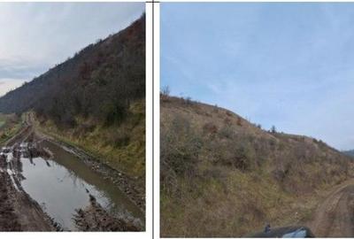 Teren de 18800 mp, în Deleni - 6