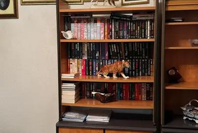 Locație premium • Ideală locuință / birouri / clinică • Potențial investițional - 20