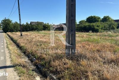 Spațiu comercial, de 1,800 mp, în Sântandrei - 3