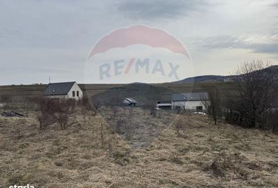 Spațiu comercial, în Sălicea - 13