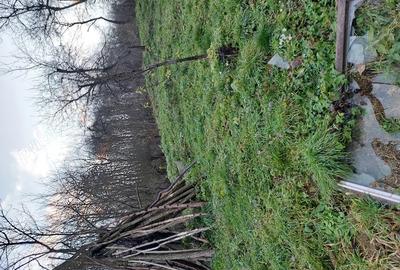 Casa de vinzare in Resita - 3